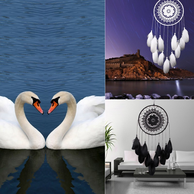 image-describe